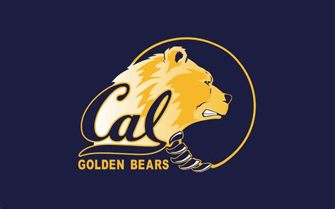 48 Cal Bears Wallpaper