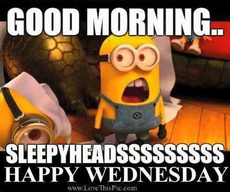 Pin By Rebecca Scott On Minions Happy Wednesday Quotes Funny Wednesday Quotes Good Morning Funny