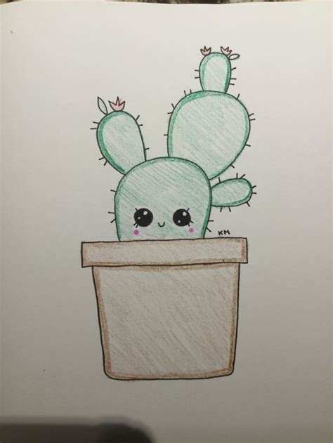 Cactus Pequeño Animales Kawaii Y Plantas Dibujos A Lapiz En Colores