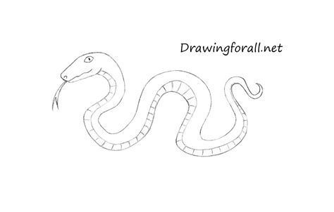 This particular animal drawing has a happy smile, and the snake's tongue is sticking out. How to Draw a Cartoon Snake | Drawingforall.net