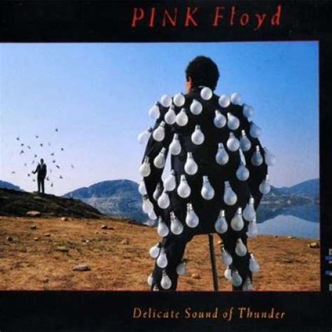 Pink Floyd Delicate Sound Of Thunder Remastered 2lp 3590 € Micrec