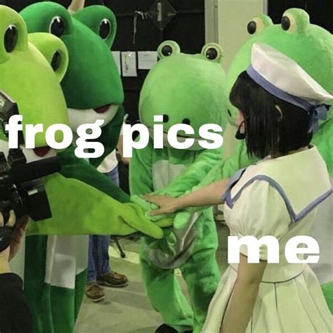 Frog Meme Frog Pictures Funny Frogs Memes