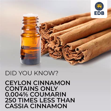 Ceylon Cinnamon Benefits And Uses Where To Buy Ceylon Cinnamon