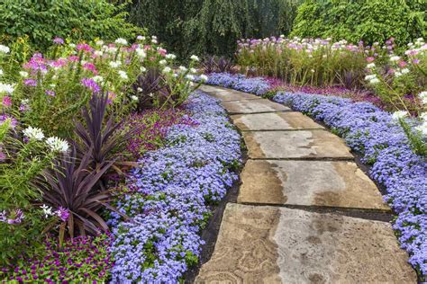 This site is a beginners resource to not only sprucing up your backyard, but also your front yard and your entire property. Do-It-Yourself Landscaping Tips