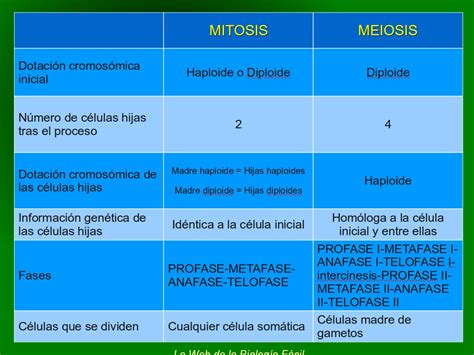 Cuadro Comparativo De Semejanzas Y Diferencias De La Mitosis Y Meiosis