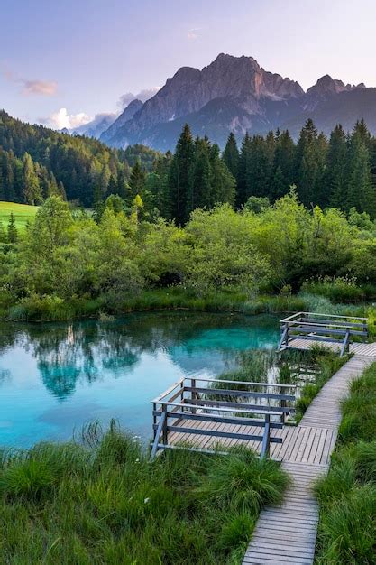 Premium Photo Zelenci Nature Reserve In Slovenia Alpine Pond In