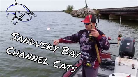 Sandusky Bay Channel Cats Season 2 Episode 8 Catfish Crazy Youtube