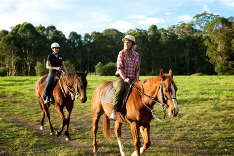 Where To Go Horse Riding In Sydney
