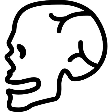 Free Icon Human Skull Side View