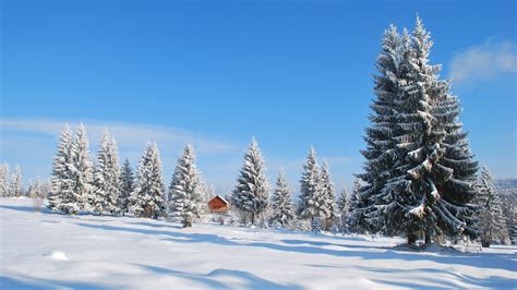 Snow Mountain Trees Hd Desktop Wallpapers 4k Hd