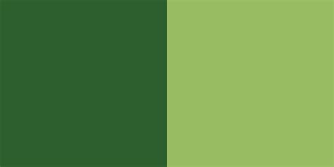 26 Best Color Combinations For Your Next Design Webflow Blog 2022