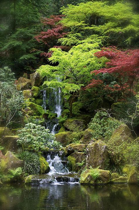 Japanese Garden Waterfall Photograph By Julie Cowin