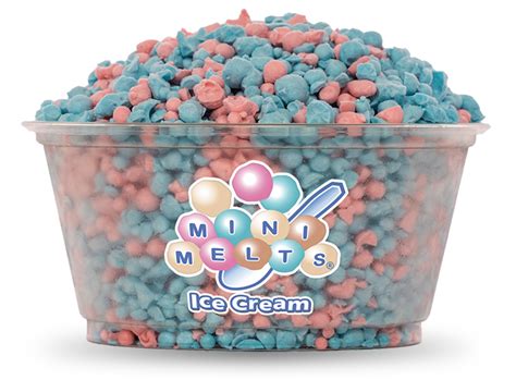 Mini Melts® Ice Cream Premium Ice Cream Experience
