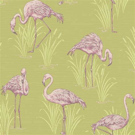 Vintage Flamingo Wallpapers 4k Hd Vintage Flamingo Backgrounds On