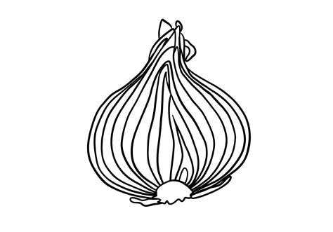 How To Draw An Onion Design School