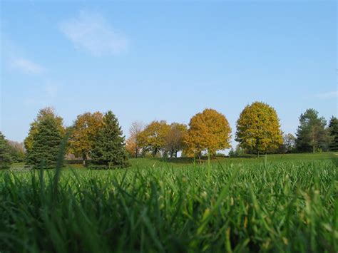 Searching For Tao 7573 Kilometres From Home Image Gallery Grass