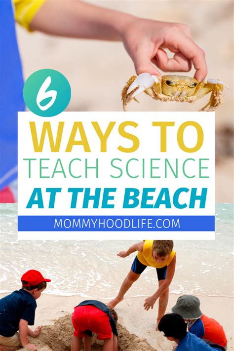 6 Ways To Teach Science At The Beach This Summer The Mommyhood Life