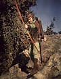 The Adventures of Robin Hood | 1938 Adventure Film Classic, Errol Flynn ...