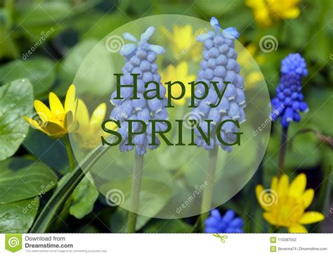 Happy Springbright Spring Flowers Background With Textspringtime