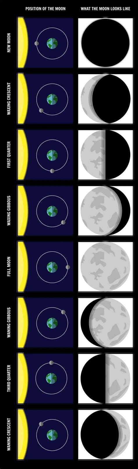 Phases Of The Moon Southern Hemisphere Storyboard