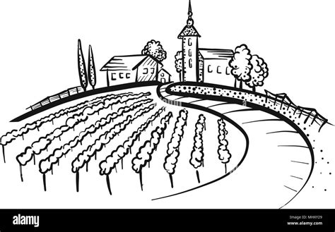Vineyard Drawing With Grapes Path And Houses On Hill Hand Drawn