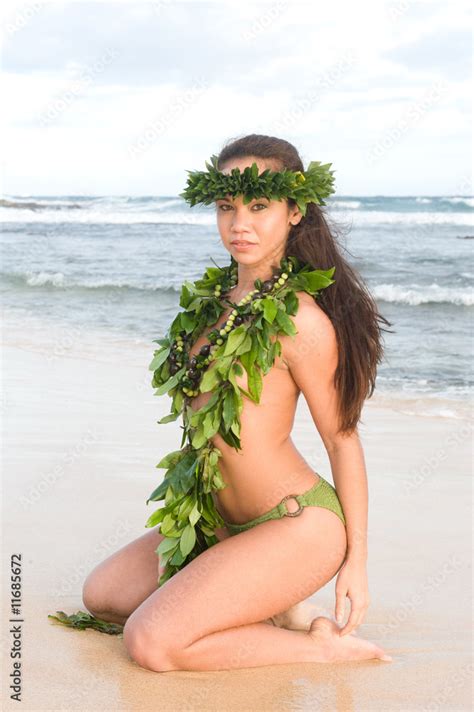 Hawaiian Hula Dancer Stock Photo Adobe Stock
