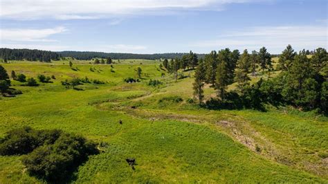 Sundance Crook County Wy Farms And Ranches Recreational Property