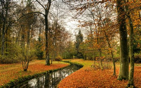 Autumn River Forest Wallpaper 2560x1600 354946