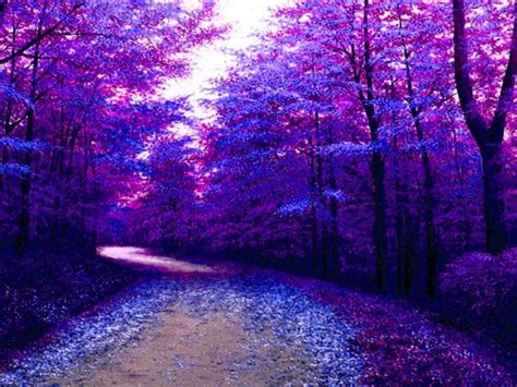 Magical Purple Forest Art Print On Canvas 32x24 Inches Unframed