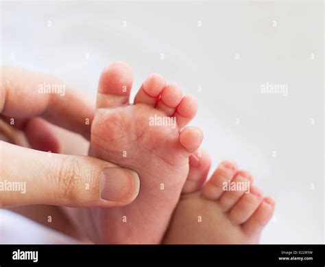 Hand Holding Baby Feet Hi Res Stock Photography And Images Alamy