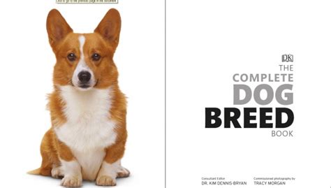Dk 2020新书 Complete Dog Breed Book 完整狗狗品种图鉴 Kidsdik少儿英语
