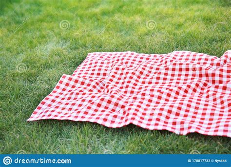 Red Checkered Tablecloth On Green Grass Empty Copy Space Red Picnic