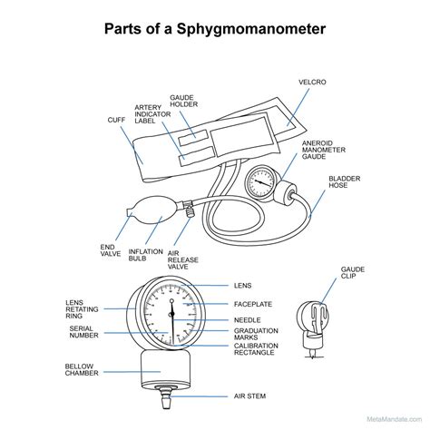 22 Parts Of A Sphygmomanometer Their Names And Functions