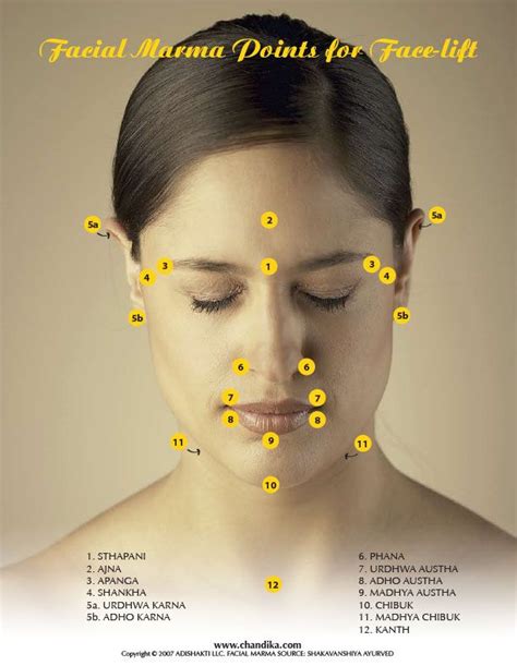 Facial Marma Points More Facial Massage Points Face Massage Ayurveda Vata Ayurvedic Healing