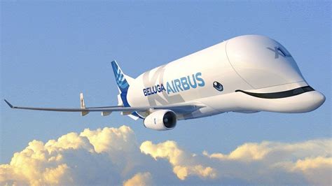 However, the name beluga, a whale it resembles. 10 Things You Didn't Know About the Airbus Beluga