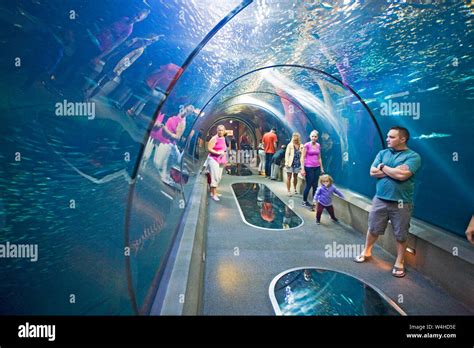 Walk Through Aquarium Tunnel Underwater Hi Res Stock Photography And