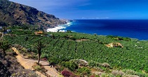 Tenerife Tour Privado: Día Completo Norte Histórico | GetYourGuide
