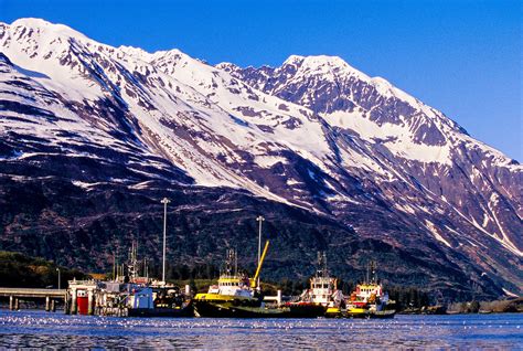 Port Of Valdez Alaska Usa Blaine Harrington Iii