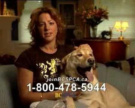 What is the aspca commercial for neglect and abused animals? Sarah McLachlan Animal Cruelty Video | ASPCA Commercial ...