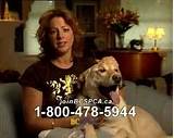 Aspca Sarah Mclachlan Commercial In The Arms Of An Angel Pictures