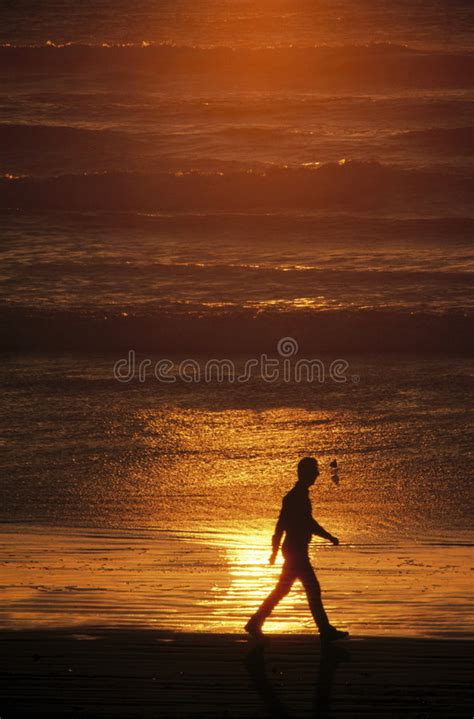 Silhouette Of Man Walking On Beach At Sunset Stock Image