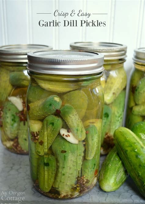 Easy Garlic Dill Pickles No Canning Needed