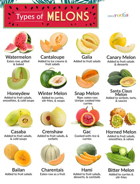 25 Types Of Melon To Try Common And Rare 49 Off