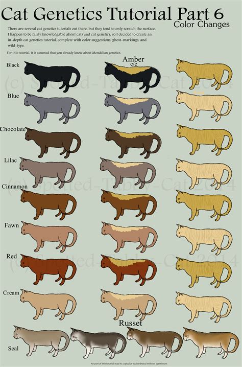 Why the sky is blue. Cat Genetics Tutorial Part 7 (Color changes) by Spotted ...