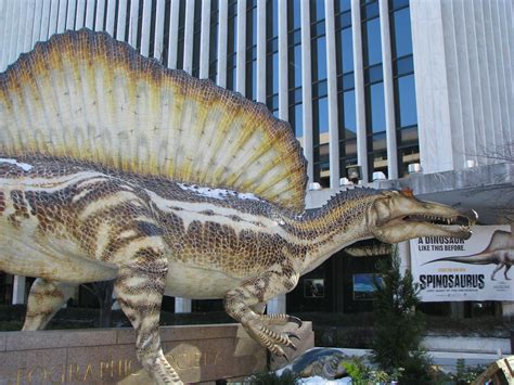Spinosaurus Exhibit Spinosaurus Lost Giant Of The Cretace Flickr