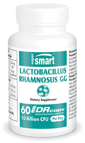 Lactobacillus Rhamnosus Gg Probiotic Strain Health Digestive System