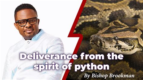 Deliverance From The Spirit Of Python By Bishop Brookman Youtube