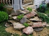 Rock Landscaping Under Trees Photos