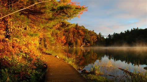 Autumn Leaves Fog Forests Lake Landscapes Nature Pathway Reflections