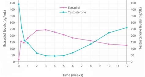 Normal Testosterone Levels The Surprising Truth What They Are